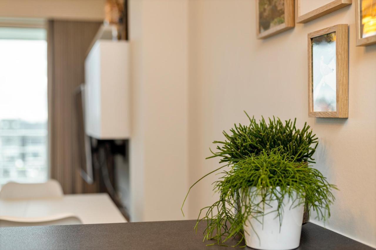 Ruim Appartement Aan De Jachthaven 블랑켄베르크 외부 사진